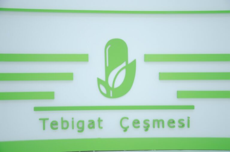 Tebigat Çeşmesi nyşany